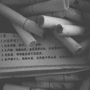 beatbox笔盒最新地址
